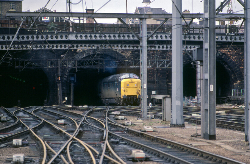 55017, 12.34 Hull-London King's Cross (1A18), London King's Cross station 
 55017 'The Durham Light Infantry' arrives into the daylight at King's Cross station emerging from Gasworks tunnel. It is leading the 1A18 12.34 from Hull that has taken just over three hours to reach London. By this stage in 1981 inner suburban electrification was complete but I avoided taking any images of the now-classic Class 313 electrics that ran on the lines; a schoolboy error but one predicated by having to count the cost of every Kodachrome 64 transparency exposed! 
 Keywords: 55017 12.34 Hull-London King's Cross 1A18 London King's Cross station The Durham Light Infantry Deltic