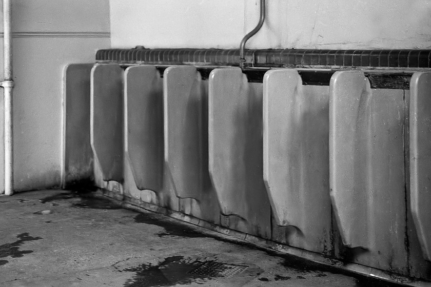 Latrines, Whitby station 
 The original NER latrines at Whitby. Imagine the weight of these huge pieces of porcelain! Notice the brown glazed top tiles that would have been in the same shade as those that edge the map seen in the previous image. 
 Keywords: Latrines Whitby station