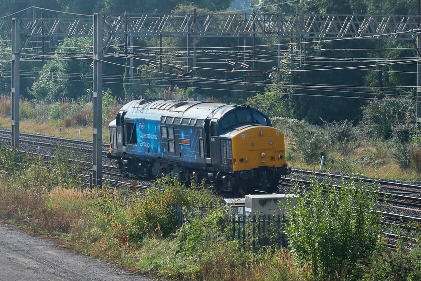 37800, 09.31 Wembley Yard-Derby RTC (0M57, 18E), site of Roade station 
 Extremely back-lit but a Class 37 is a Class 37! 37800 'Cassiopeia' passes Roade light engine as the 09.31 Wembley Yard to Derby RTC 0M57 move. The Rail Operations Group livery looks very smart on these evergreen survivors from the 1960s with them still having plenty of work on the network. 
 Keywords: 37800 09.31 Wembley Yard-Derby RTC 0M57 site of Roade station Cassiopeia