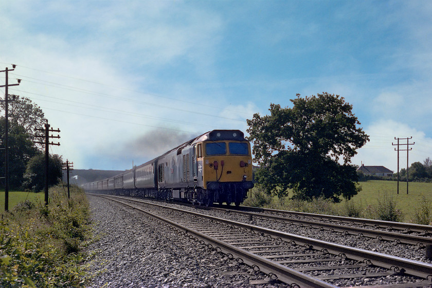 50002, unidentified up working, Berkely Down ST793482 
 50002 Superb is hammering along the Frome cut-off with an up working for London Paddington. It is seen passing a perfectly legal spot at a foot crossing near an area of Frome called Berkley Down. All these years on I vividly remember sitting on the style at this location in the lovely warm early autumn sunshine. This spot is still available today but it is not quite so peaceful as the A361 Frome bypass is just a few metres to the left of where I am standing. 
 Keywords: 50002 unidentified up working Berkely Down ST793482