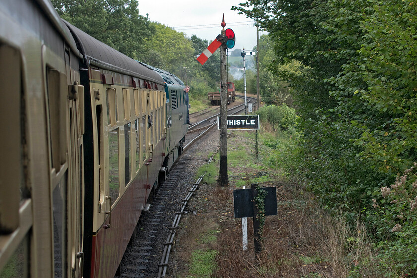 D1015, 11.05 Kidderminster-Bridgnorth, Highley station 
 With considerably more stock than the platforms can accommodate the trains running on the Severn Valley Railway's diesel gala overhung the platforms at some of their stations such is the case here at Highley. The second man in the cab of D1015 'Western Champion' peers back waiting for the right away from the guard in order to get the 11.05 Kidderminster to Bridgnorth underway. 
 Keywords: D1015 11.05 Kidderminster-Bridgnorth, Highley station Western Champion