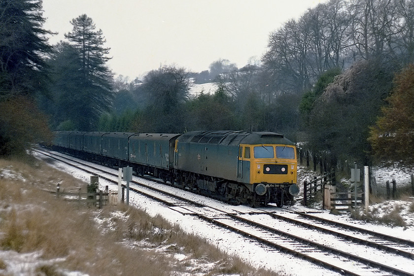 47055, up parcels, Bradford-on-Avon number 1 foot crossing 
 47055 leads an up parcels working along the Avon Valley. It is approaching Bradford-on-Avon taken from one of the two foot crossings in this area. Both are now tricky to take pictures from as, like so much of the railway, they are chronically overgrown. 47055 is still active on the network today. It went through a number of changes in its life ending up as one of Virgin's red Thunderbirds. It is now a DRS machine numbered 57304 'Pride of Cheshire' and one that I have photographed at various locations and one that, at the time of writing, is coming up for 54 years old, just a year younger than me! 
 Keywords: 47055 parcels, Bradford-on-Avon foot crossing