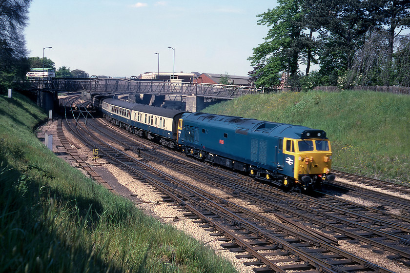 50028, 08.40 Liverpool-Penzance, Forde Park Road, Newton Abbot 
 I am not absolutely sure how my teacher from school and I managed to get to this illicit spot off Forde Park Road in Newton Abbot but it certainly offered commanding views of the four-track route south of Newton Abbot station. Having recently received a re-paint and, still some two years away from a full refurbishment, 50028 'Tiger' gets the 08.40 Liverpool to Penzance away from Newton Abbot station.

There is an audio recording of this event on my youtube channel, see....https://youtu.be/zVrQmv_hVt4 
 Keywords: 50028 08.40 Liverpool-Penzance Forde Park Road, Newton Abbot Tiger